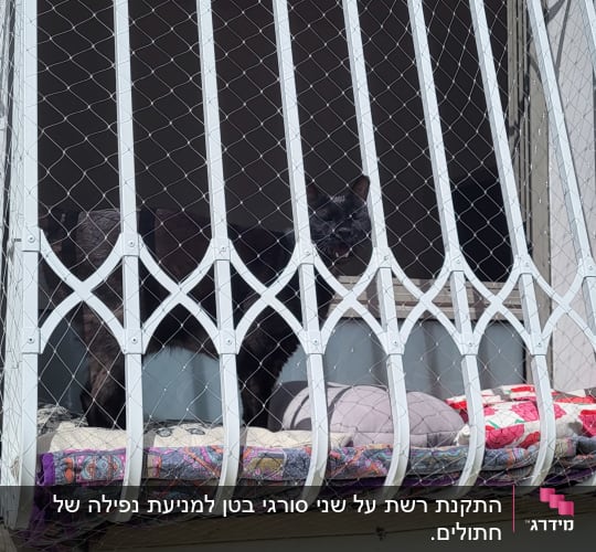 רשת מתכת על חלון עם כריות צבעוניות